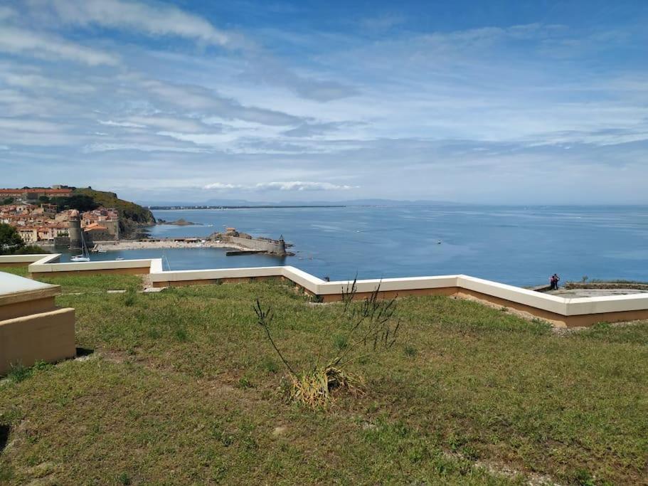 Location Vue Mer Du Samedi Au Samedi, Clim, Parking, Piscine, Plage كولِيورْ المظهر الخارجي الصورة